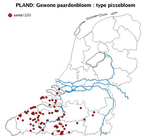 pissebloem